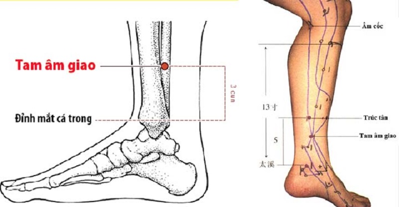 Bấm huyệt nào trị mất ngủ?- Ảnh 3.