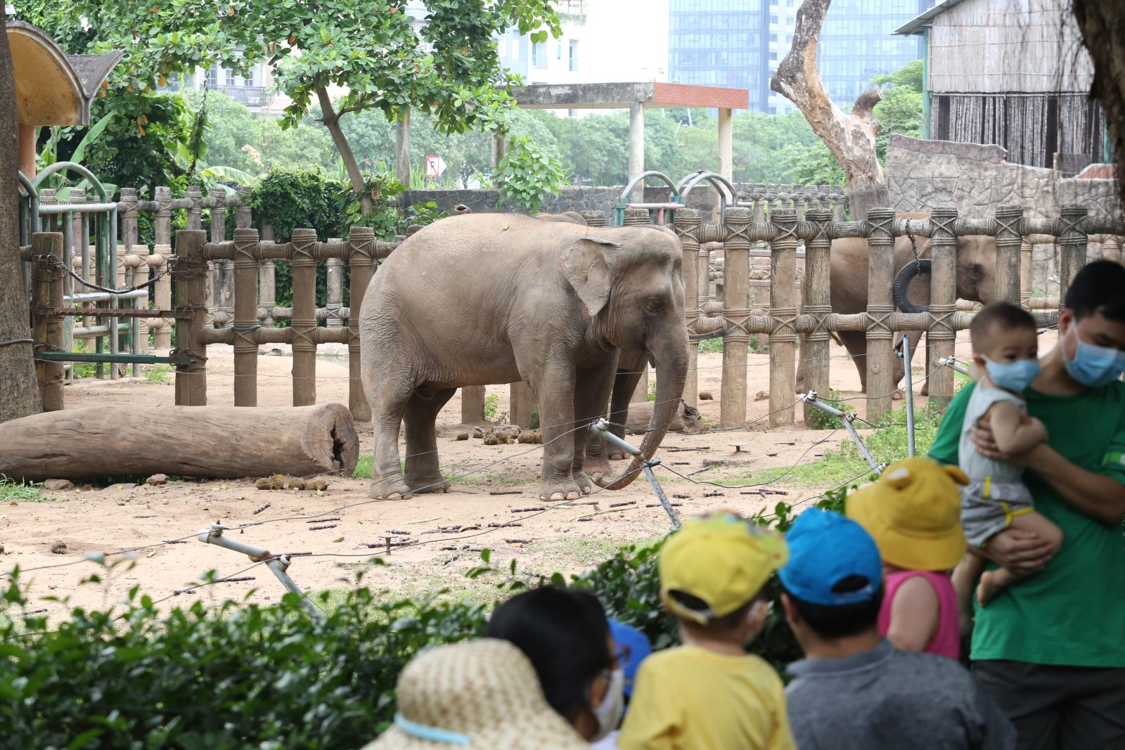 TP Hồ Chí Minh: Nhiều nơi miễn phí vé vào cổng cho khách mặc áo dài trong ngày 8/3- Ảnh 2.