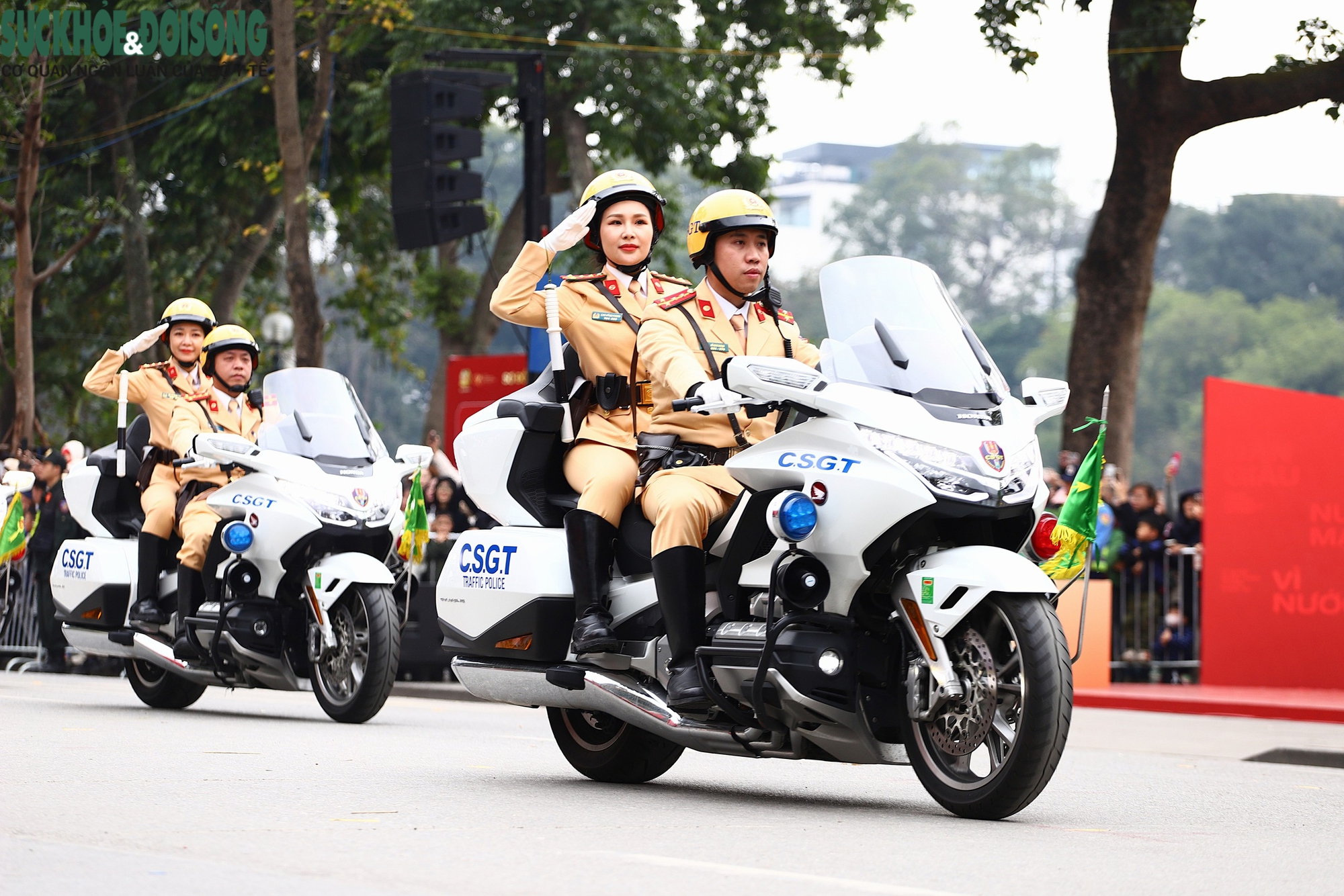 Kỵ binh, Cảnh khuyển trình diễn trên phố đi bộ, không ngại 'giao lưu' với trẻ nhỏ- Ảnh 2.