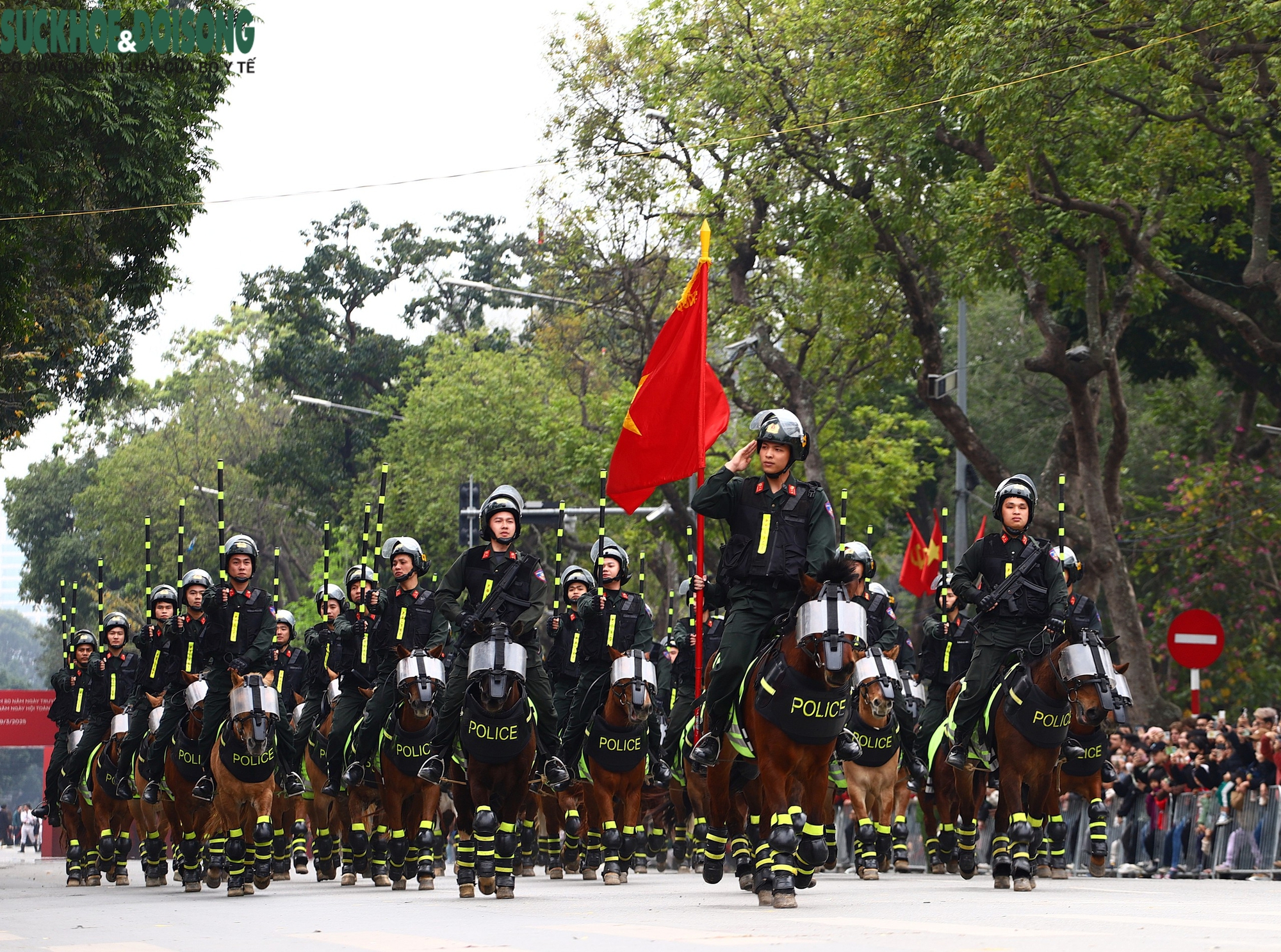 Kỵ binh, Cảnh khuyển trình diễn trên phố đi bộ, không ngại 'giao lưu' với trẻ nhỏ- Ảnh 5.