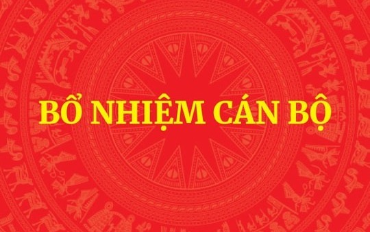 Thủ tướng phê chuẩn, miễn nhiệm chức vụ Phó chủ tịch UBND của 4 tỉnh