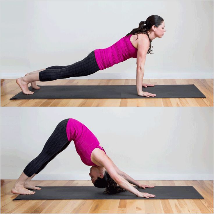 41+ Awesome Downward Dog To Plank