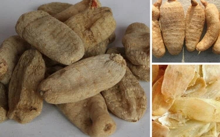 Món ăn bài thuốc dùng cho người huyết áp cao