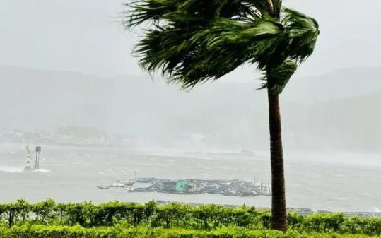 Chuyên gia cảnh báo không chia sẻ, phát tán tin giả về bão ở Quảng Ninh đầu tháng 5