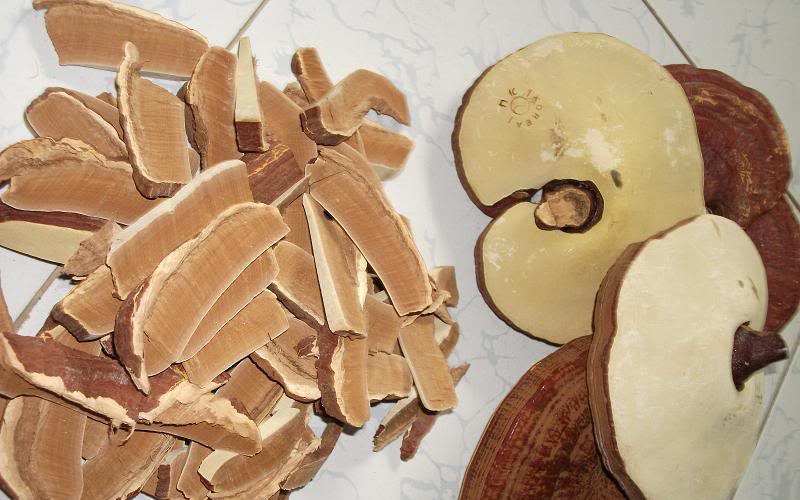 Cách dùng nấm hương, nấm linh chi giảm cholesterol máu