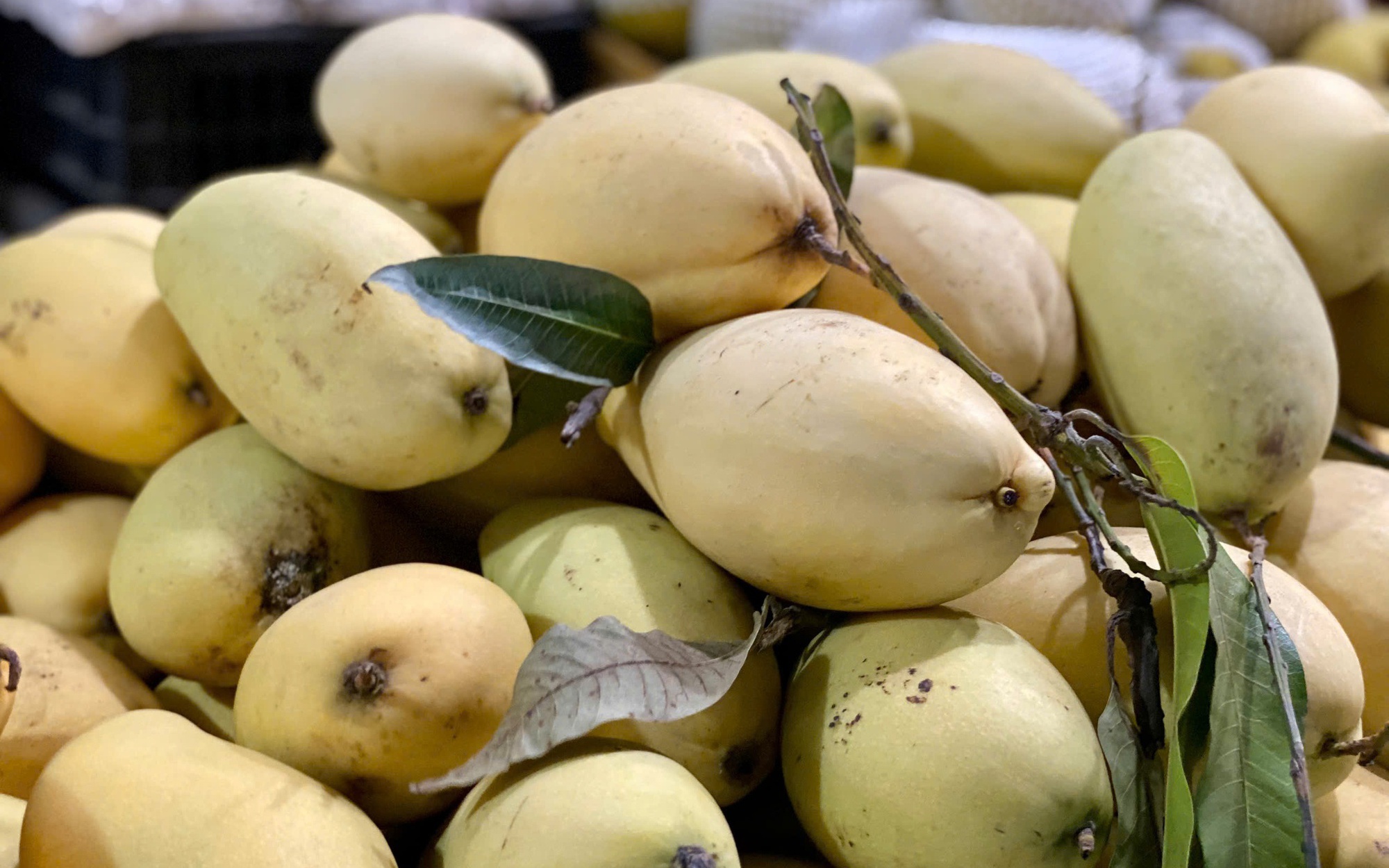 Xoài Vân Du giá siêu rẻ chỉ 5.000 đồng/kg có ngon như lời đồn?- Ảnh 4.