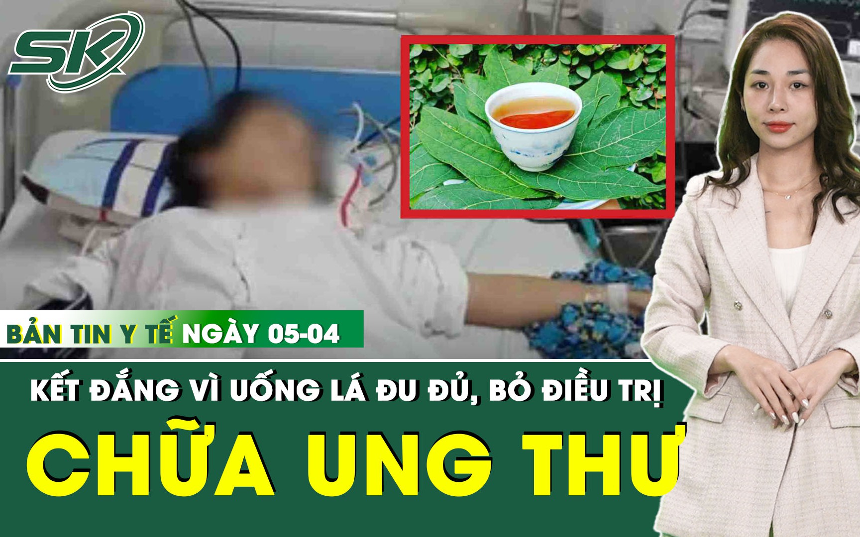 Lá đu đủ có chữa được ung thư không?- Ảnh 2.