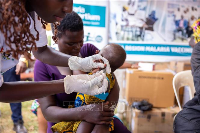 Hơn nửa triệu trẻ em châu Phi tử vong hằng năm do thiếu vaccine- Ảnh 1. Hơn nửa triệu trẻ em châu Phi tử vong hằng năm do thiếu vaccine- Ảnh 1.