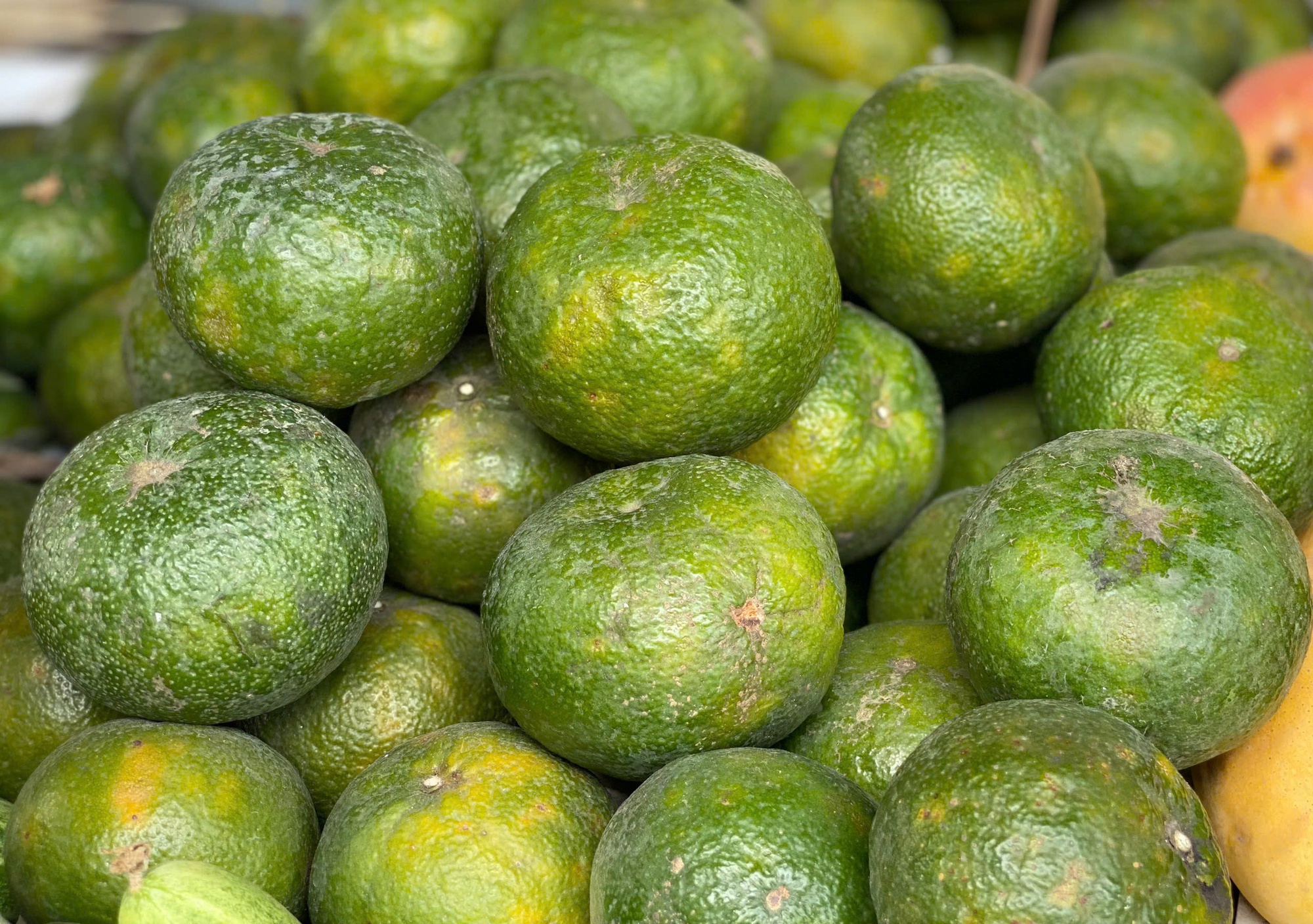 Loại quả giàu viatamin C đang vào mùa bán đầy chợ Việt giá chỉ 10.000 đồng/kg- Ảnh 5. Loại quả giàu viatamin C đang vào mùa bán đầy chợ Việt giá chỉ 10.000 đồng/kg- Ảnh 5.