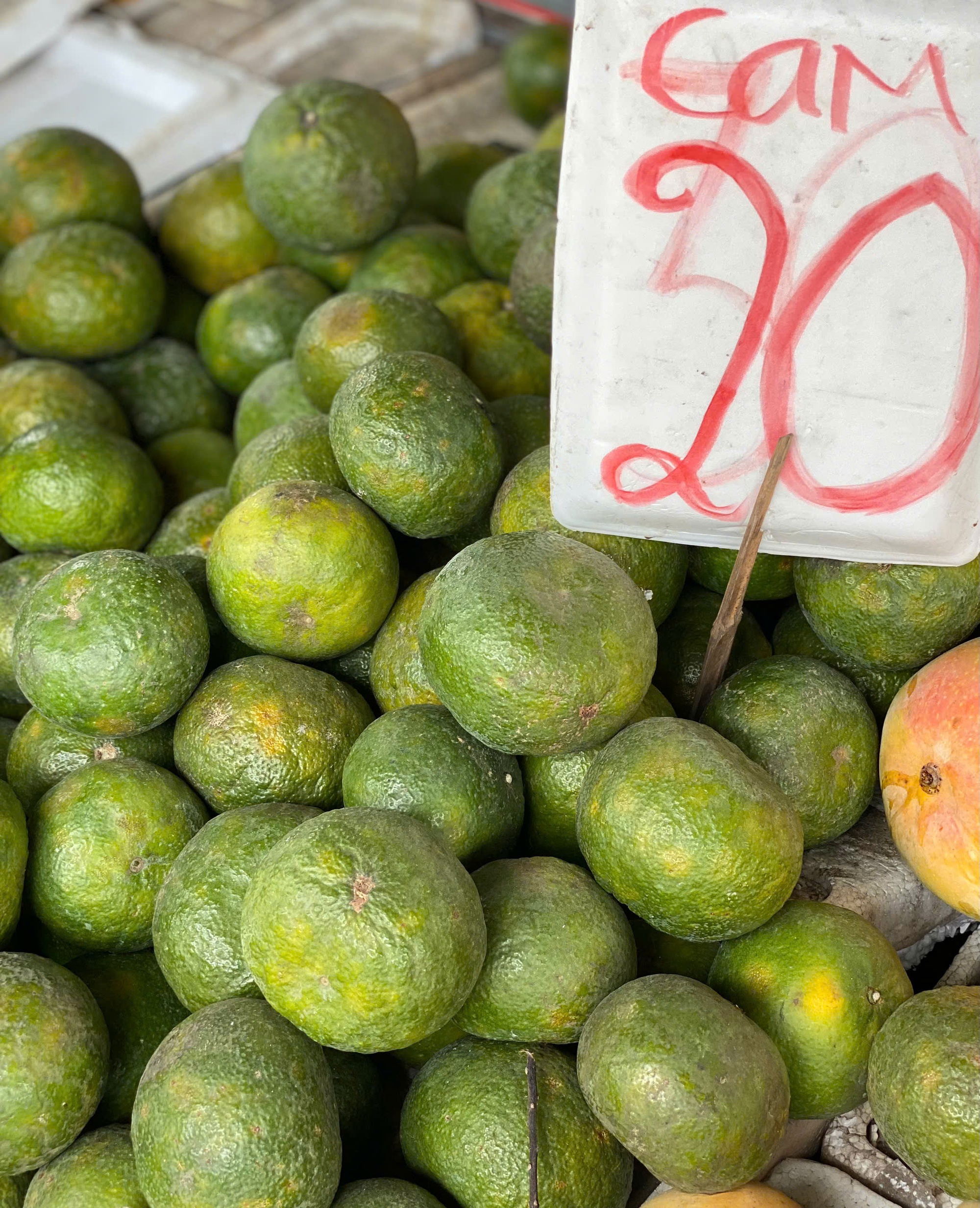 Loại quả giàu viatamin C đang vào mùa bán đầy chợ Việt giá chỉ 10.000 đồng/kg- Ảnh 7. Loại quả giàu viatamin C đang vào mùa bán đầy chợ Việt giá chỉ 10.000 đồng/kg- Ảnh 7.