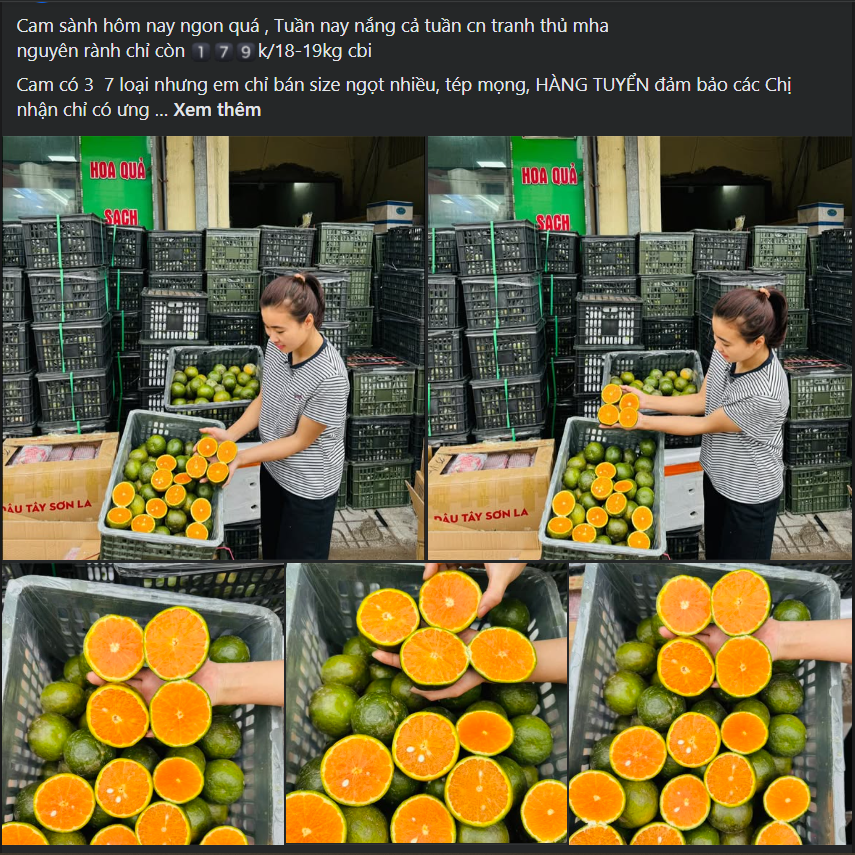 Loại quả giàu viatamin C đang vào mùa bán đầy chợ Việt giá chỉ 10.000 đồng/kg- Ảnh 1. Loại quả giàu viatamin C đang vào mùa bán đầy chợ Việt giá chỉ 10.000 đồng/kg- Ảnh 1.