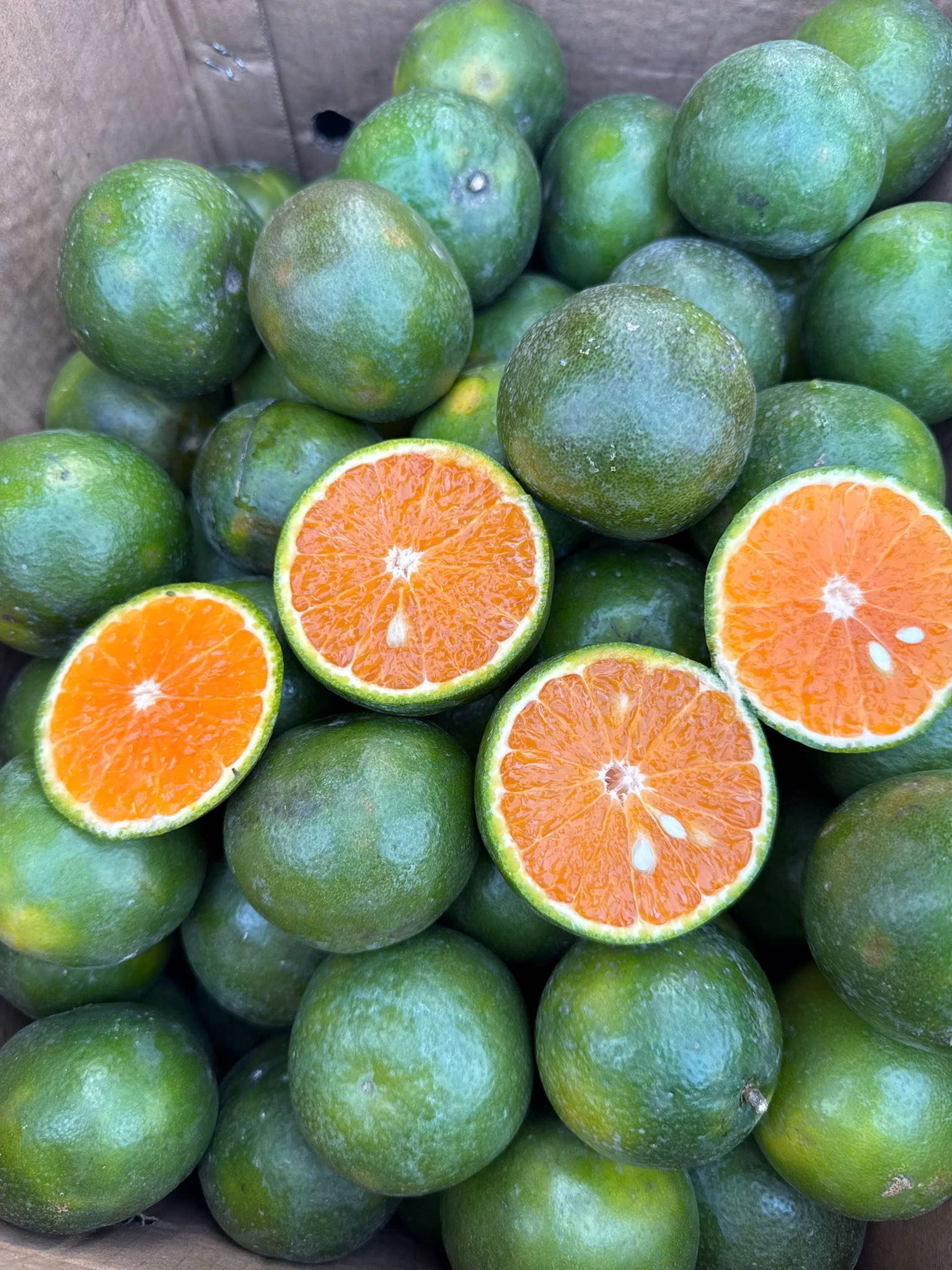 Loại quả giàu viatamin C đang vào mùa bán đầy chợ Việt giá chỉ 10.000 đồng/kg- Ảnh 4. Loại quả giàu viatamin C đang vào mùa bán đầy chợ Việt giá chỉ 10.000 đồng/kg- Ảnh 4.
