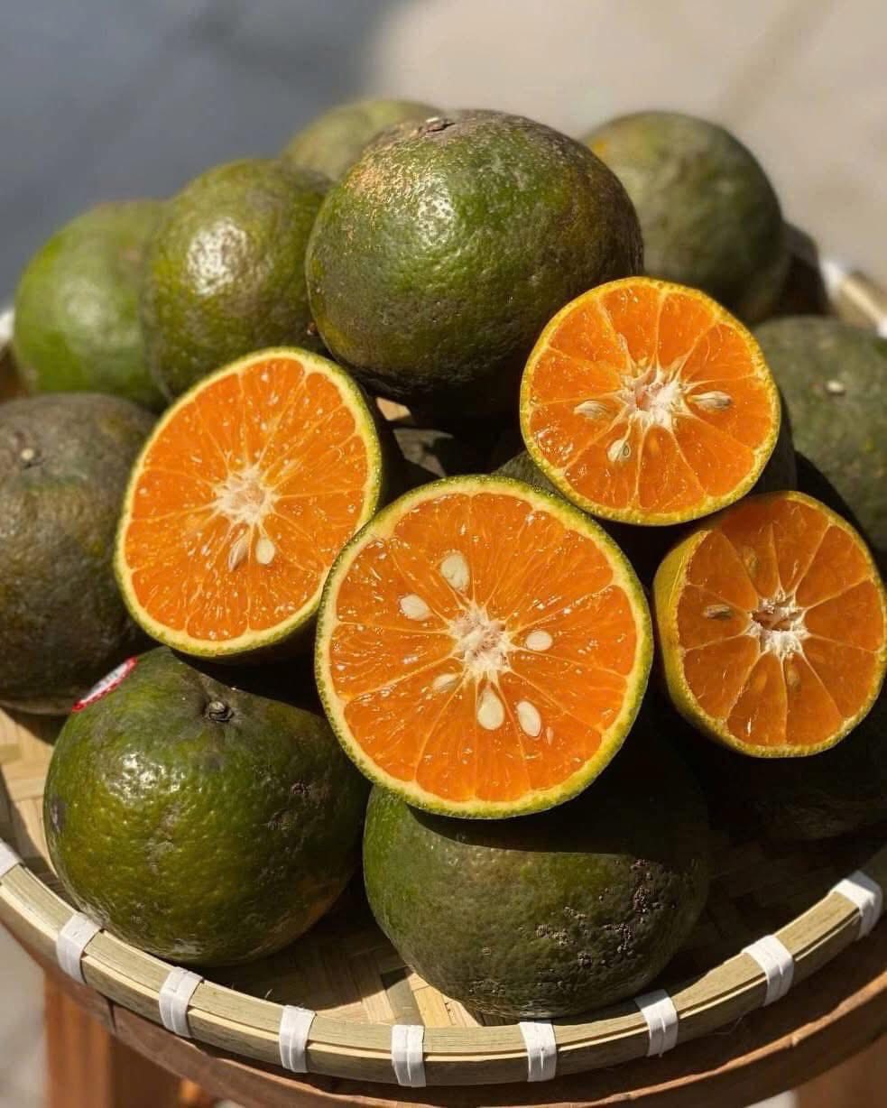 Loại quả giàu viatamin C đang vào mùa bán đầy chợ Việt giá chỉ 10.000 đồng/kg- Ảnh 9. Loại quả giàu viatamin C đang vào mùa bán đầy chợ Việt giá chỉ 10.000 đồng/kg- Ảnh 9.