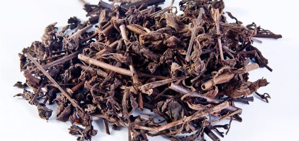 6 món ăn bài thuốc thanh nhiệt, giải độc cơ thể mùa hè- Ảnh 2. 6 món ăn bài thuốc thanh nhiệt, giải độc cơ thể mùa hè- Ảnh 2.