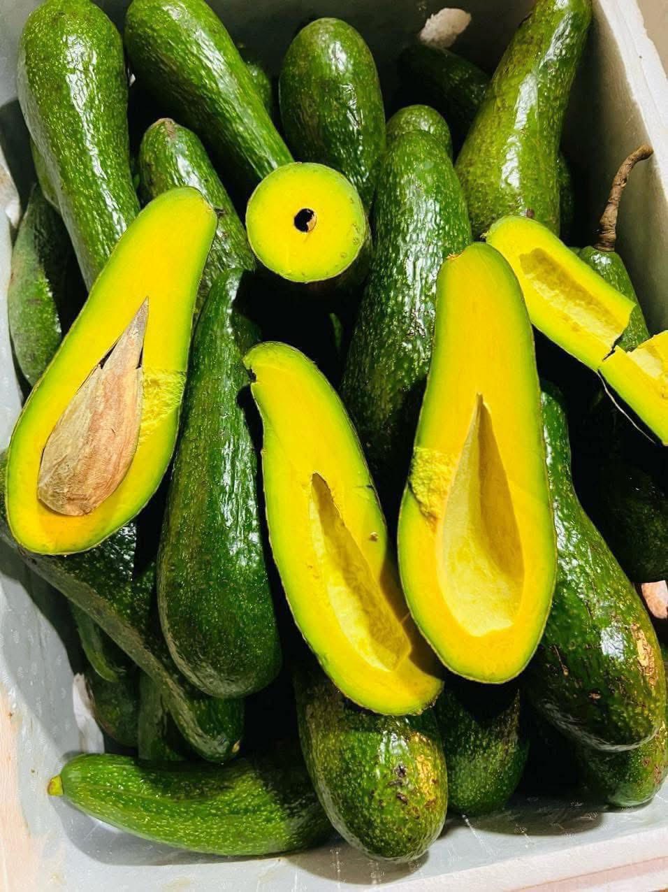 Loại quả được ví là ‘siêu thực phẩm’ vào mùa, chị em thi nhau đặt hàng chiêu đãi cả nhà- Ảnh 11. Loại quả được ví là ‘siêu thực phẩm’ vào mùa, chị em thi nhau đặt hàng chiêu đãi cả nhà- Ảnh 11.