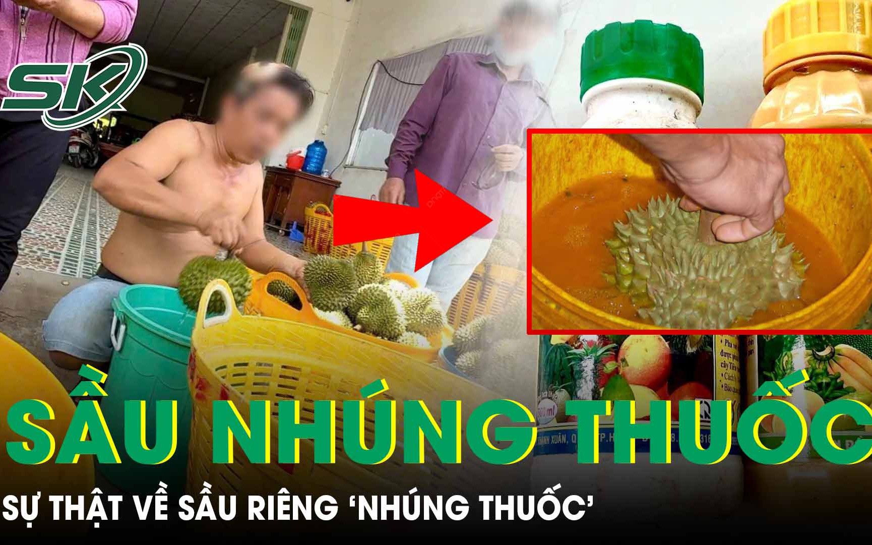 Sầu riêng ‘nhúng thuốc’ có gây ung thư như lời đồn?