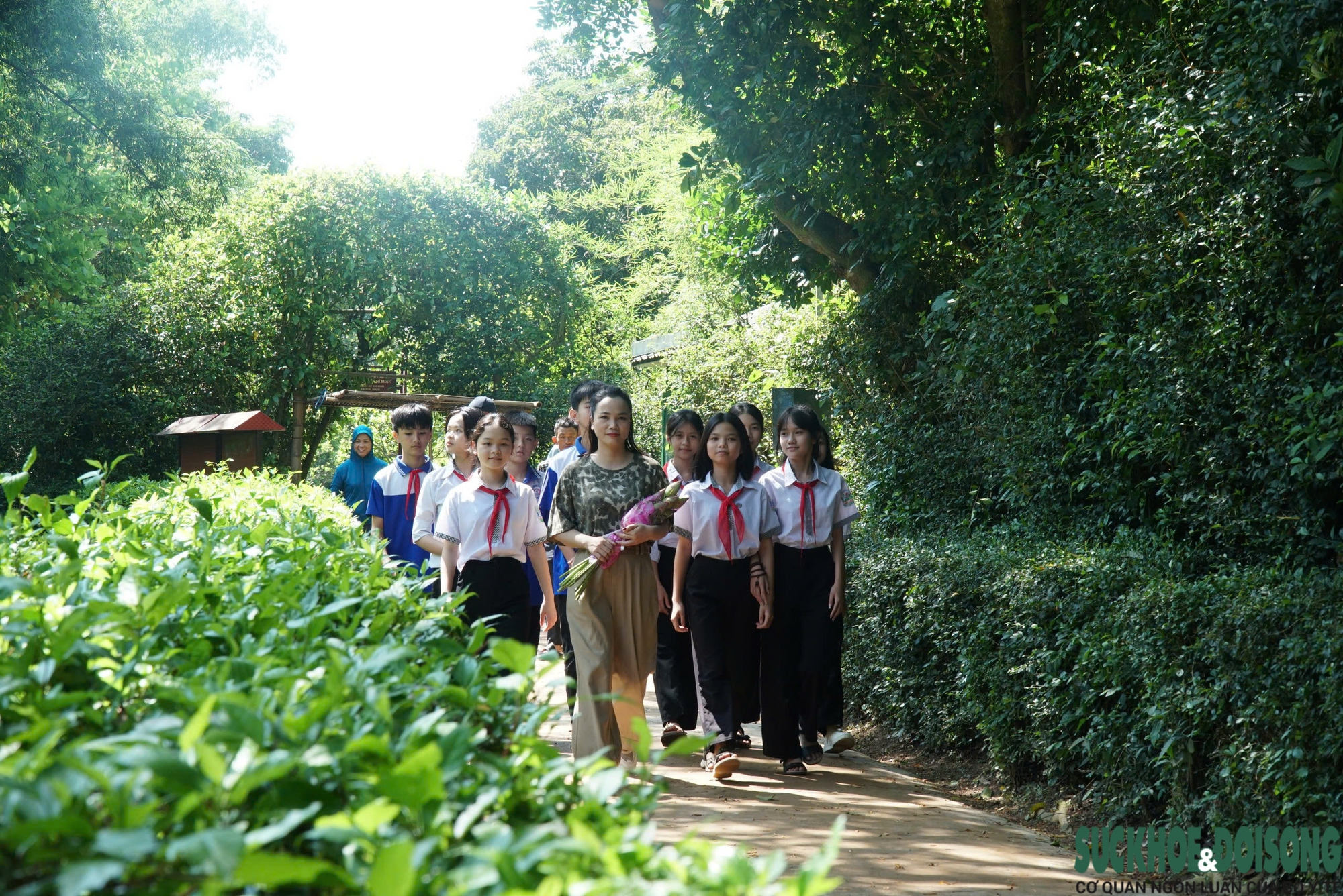 Tháng 5, về thăm làng Sen bồi hồi nhớ Bác- Ảnh 5. Tháng 5, về thăm làng Sen bồi hồi nhớ Bác- Ảnh 5.