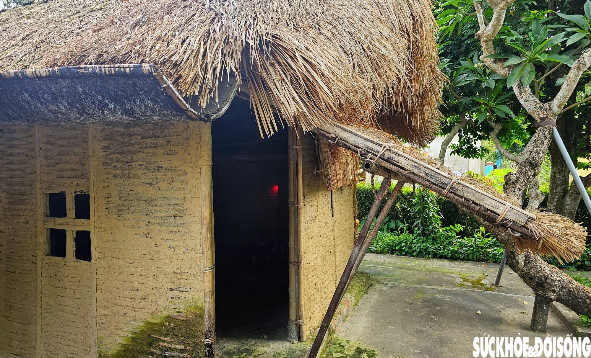 Làng quê lưu dấu thời niên thiếu của Chủ tịch Hồ Chí Minh ở Huế- Ảnh 6.