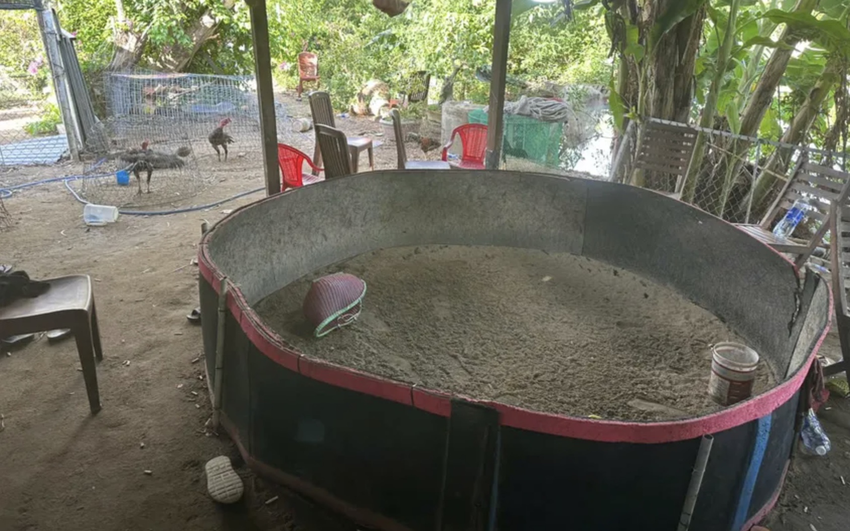 Bắt giữ hơn chục 'con bạc' ở Lâm Đồng đang sát phạt... trong rừng- Ảnh 2.