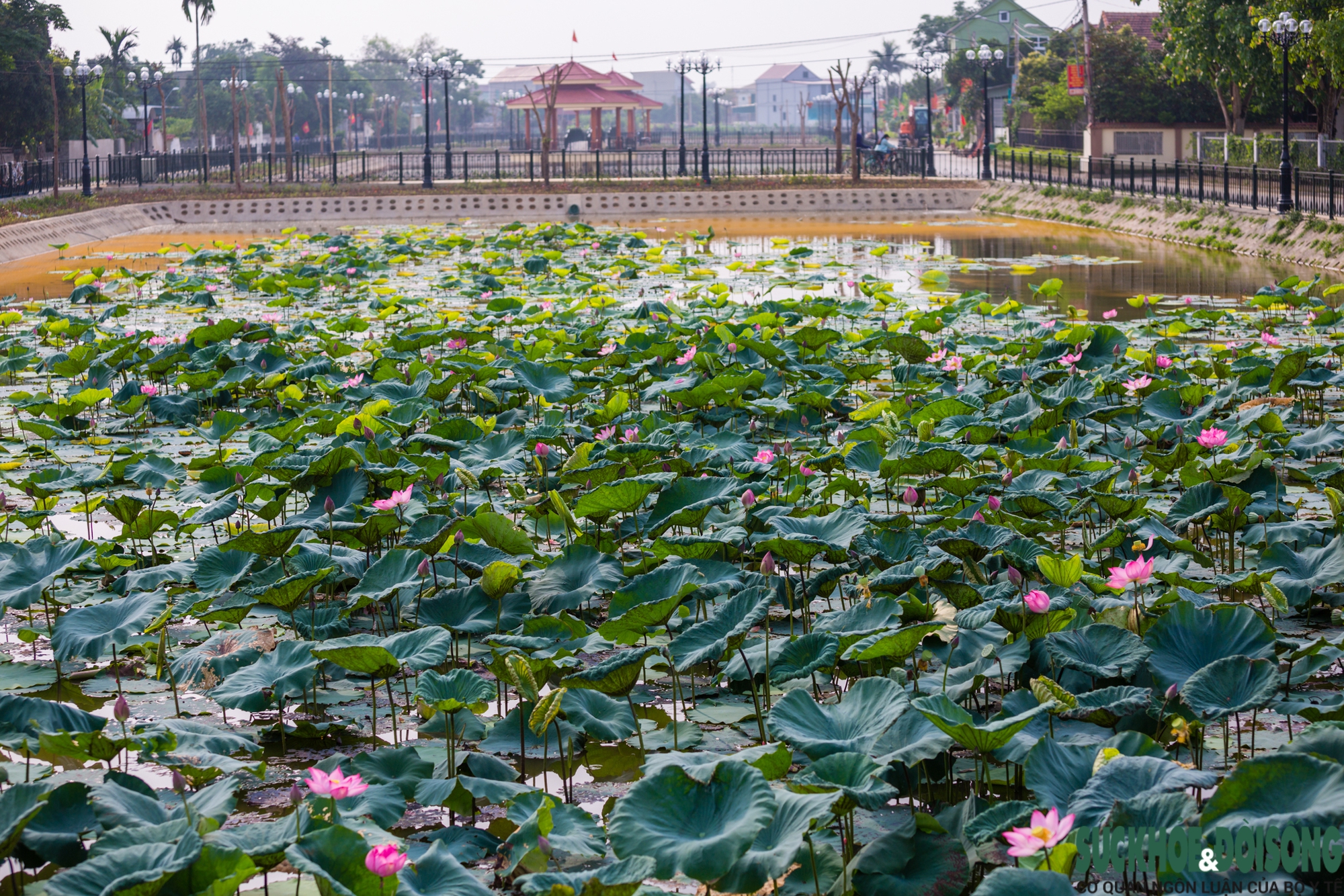 Quê hương luôn trong tâm trí Bác- Ảnh 8. Quê hương luôn trong tâm trí Bác- Ảnh 8.