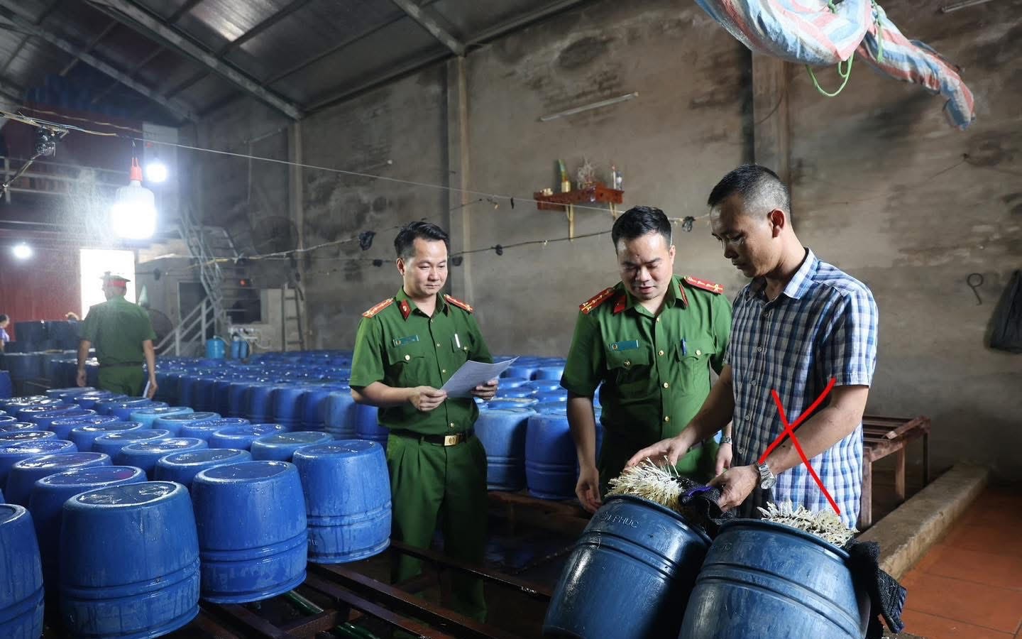 Khởi tố chủ cơ sở đã bán hơn 60 tấn giá đỗ "ngậm" chất kích thích ra thị trường