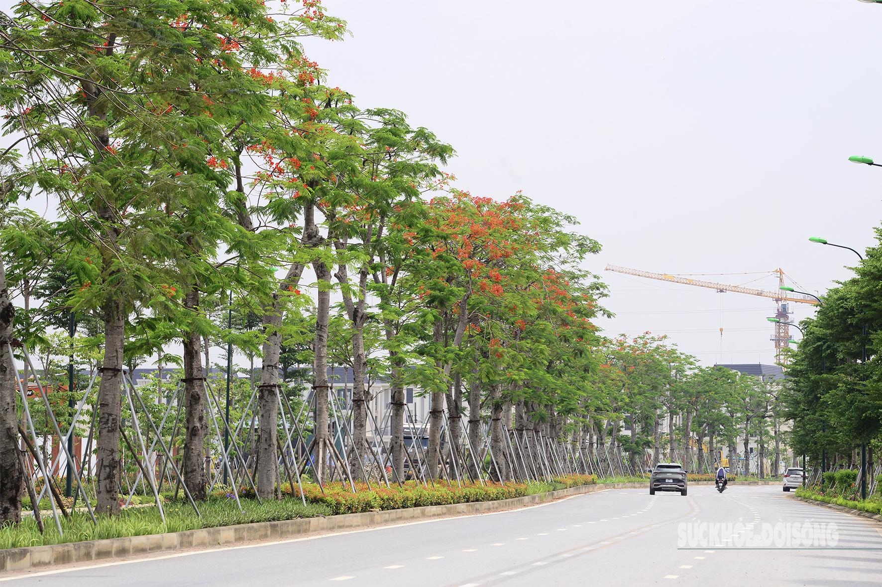 Hà Nội sắp có công viên xanh lớn nhất Thủ đô- Ảnh 9. Hà Nội sắp có công viên xanh lớn nhất Thủ đô- Ảnh 9.