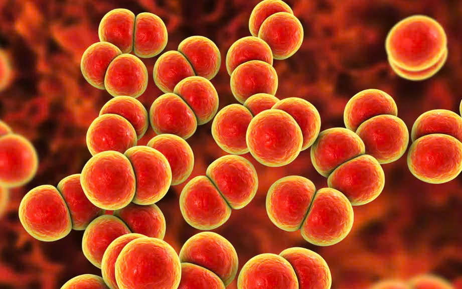 Anh triển khai vaccine phòng bệnh lậu đầu tiên trên thế giới