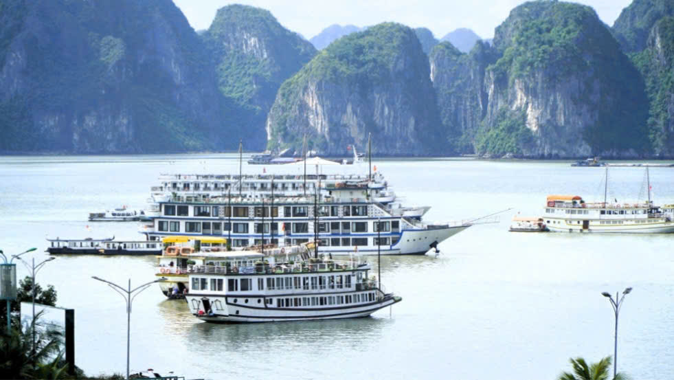 Vì sao tàu du lịch Thịnh An 88 bị dừng hợp đồng neo đậu trên vịnh Hạ Long 7 ngày?- Ảnh 1. Vì sao tàu du lịch Thịnh An 88 bị dừng hợp đồng neo đậu trên vịnh Hạ Long 7 ngày?- Ảnh 1.