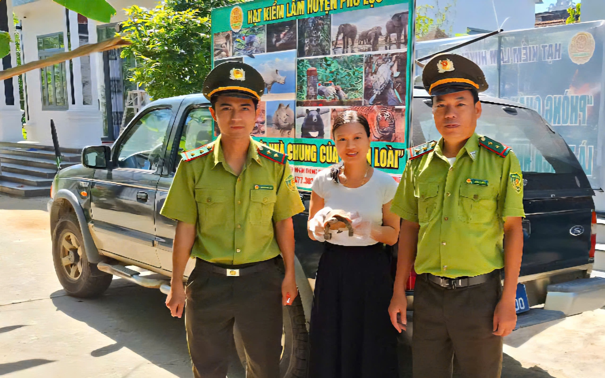Phát hiện rùa núi vàng quý hiếm trên đường về nhà, người phụ nữ giao nộp kiểm lâm