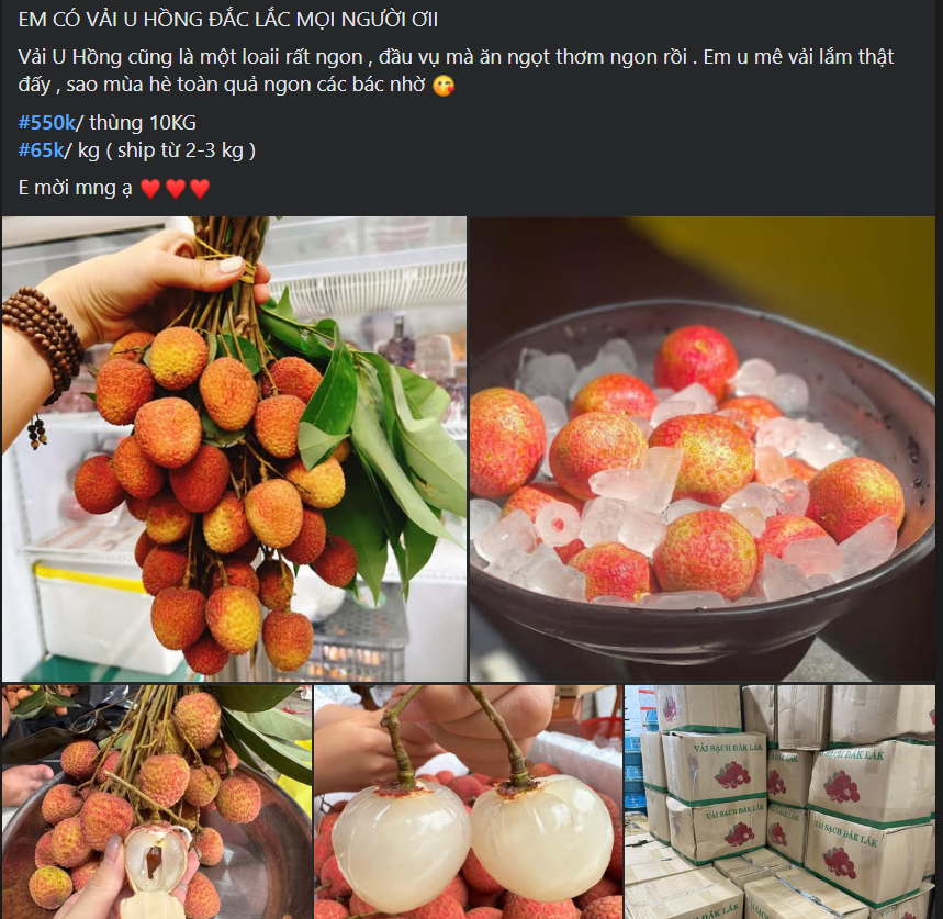 Vải u đầu mùa giá cao chót vót nhưng vẫn đắt khách tìm mua- Ảnh 7. Vải u đầu mùa giá cao chót vót nhưng vẫn đắt khách tìm mua- Ảnh 7.