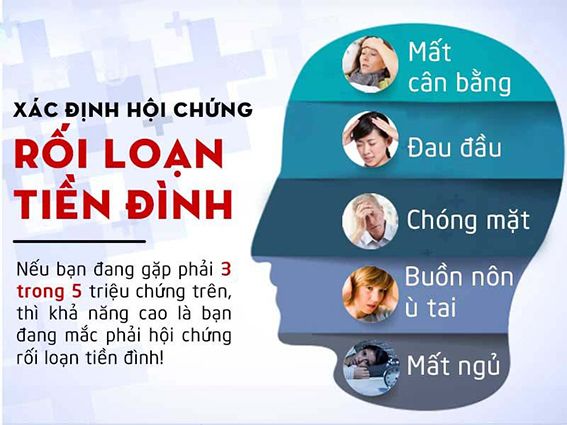 5 món ăn bài thuốc tốt cho người rối loạn tiền đình- Ảnh 1.