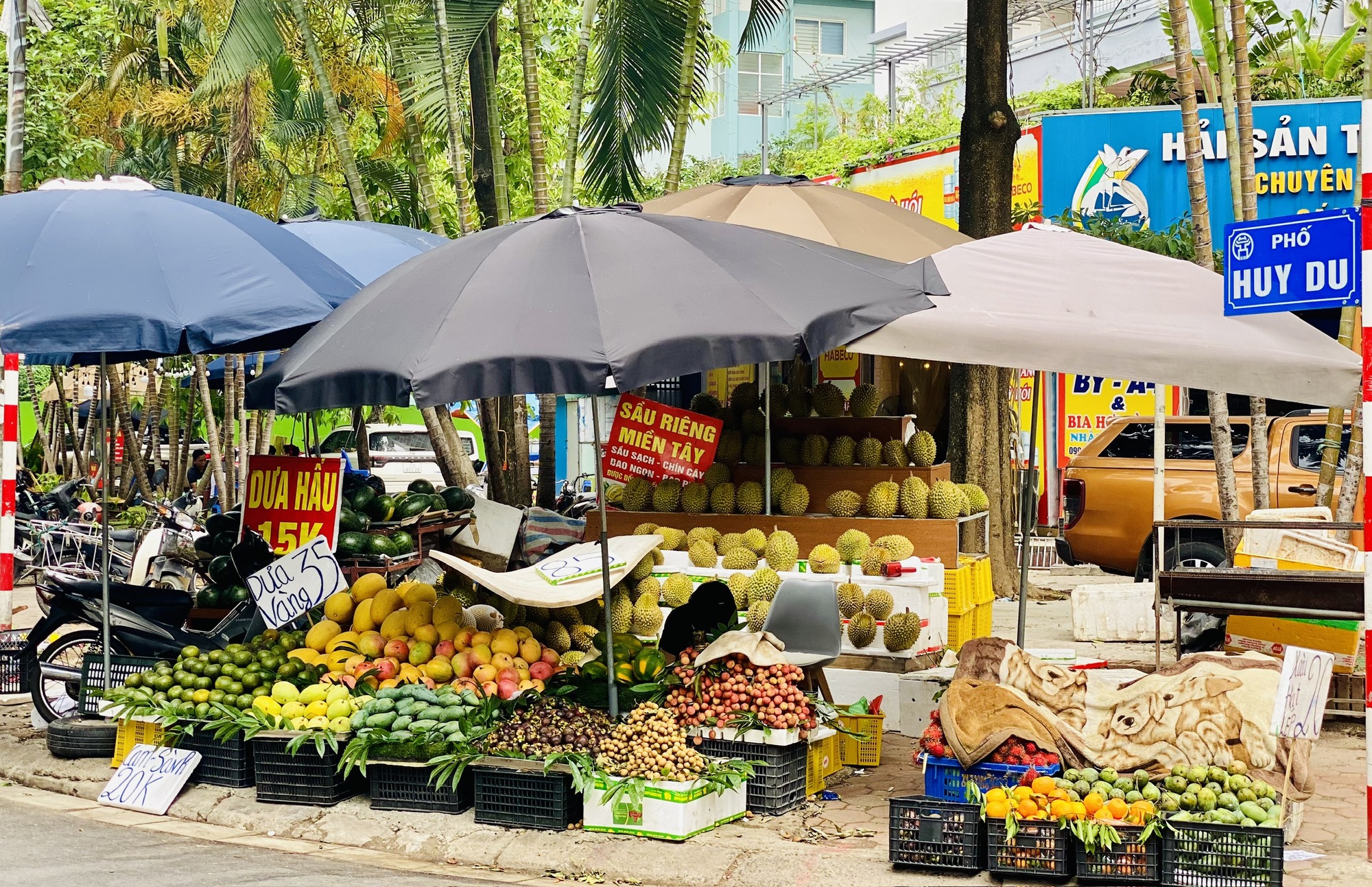 Một loại cam Việt vào mùa giá rẻ bèo, tiểu thương tiêu thụ vài tạ mỗi ngày- Ảnh 11. Một loại cam Việt vào mùa giá rẻ bèo, tiểu thương tiêu thụ vài tạ mỗi ngày- Ảnh 11.