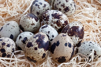 5 món ăn bài thuốc tốt cho người rối loạn tiền đình- Ảnh 2.