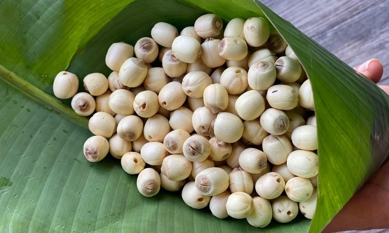 4 món ăn bài thuốc hỗ trợ trị tiểu buốt, tiểu rắt- Ảnh 3. 4 món ăn bài thuốc hỗ trợ trị tiểu buốt, tiểu rắt- Ảnh 3.