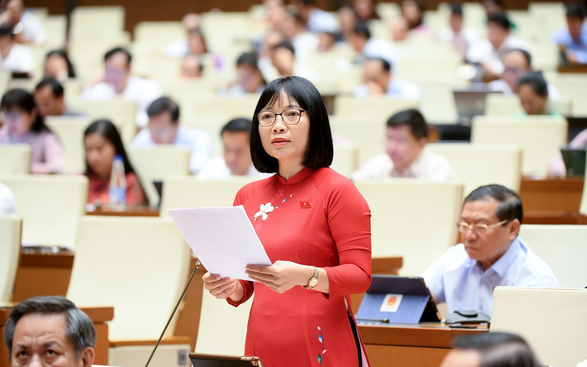 ĐBQH: Bỏ tử hình một số tội danh không phải là khoan dung với tội phạm