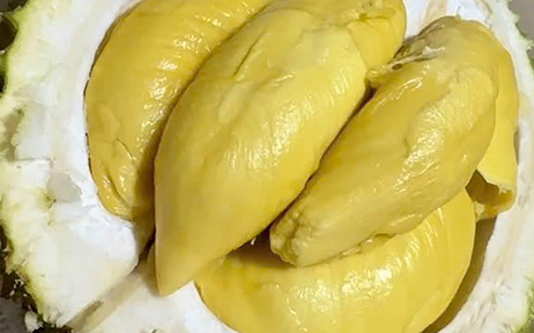 7 nhóm người không nên ăn sầu riêng