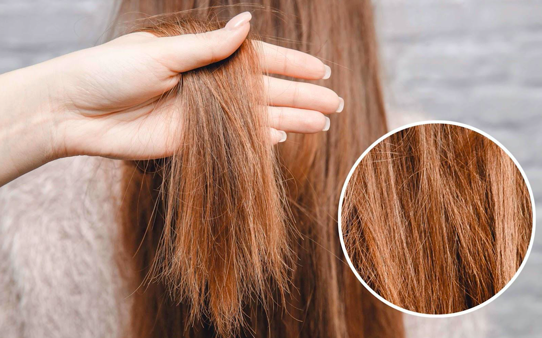 6 thói quen giúp hạn chế tóc khô xơ, gãy rụng- Ảnh 4. 6 thói quen giúp hạn chế tóc khô xơ, gãy rụng- Ảnh 4.