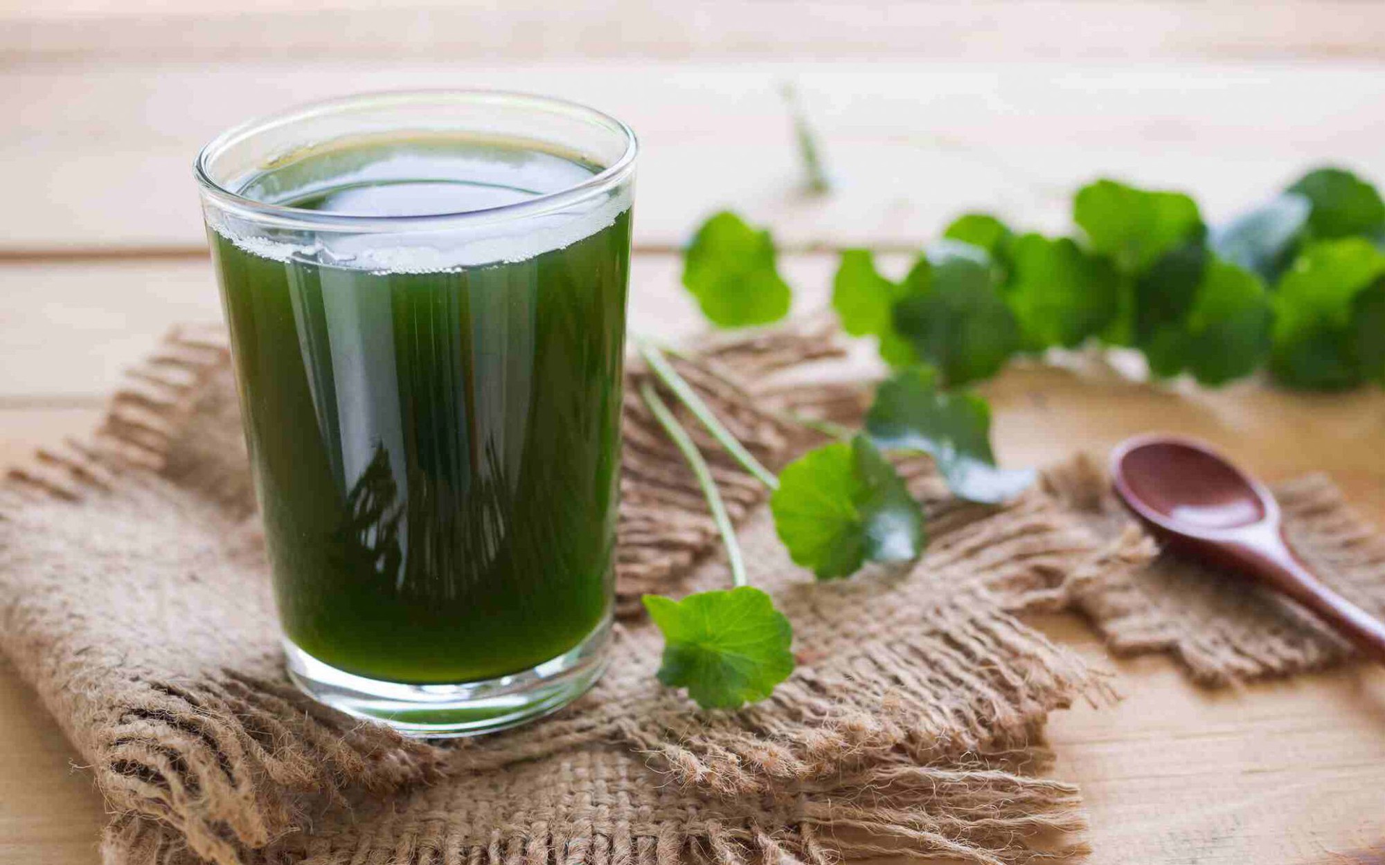 Món ăn bài thuốc hỗ trợ trị rối loạn tiêu hóa mùa hè