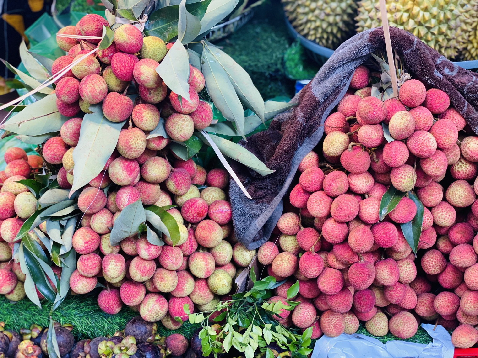 Vải u trứng trắng Hải Dương giá tiền trăm gây ‘sốt’ thị trường trái cây Việt- Ảnh 8. Vải u trứng trắng Hải Dương giá tiền trăm gây ‘sốt’ thị trường trái cây Việt- Ảnh 8.