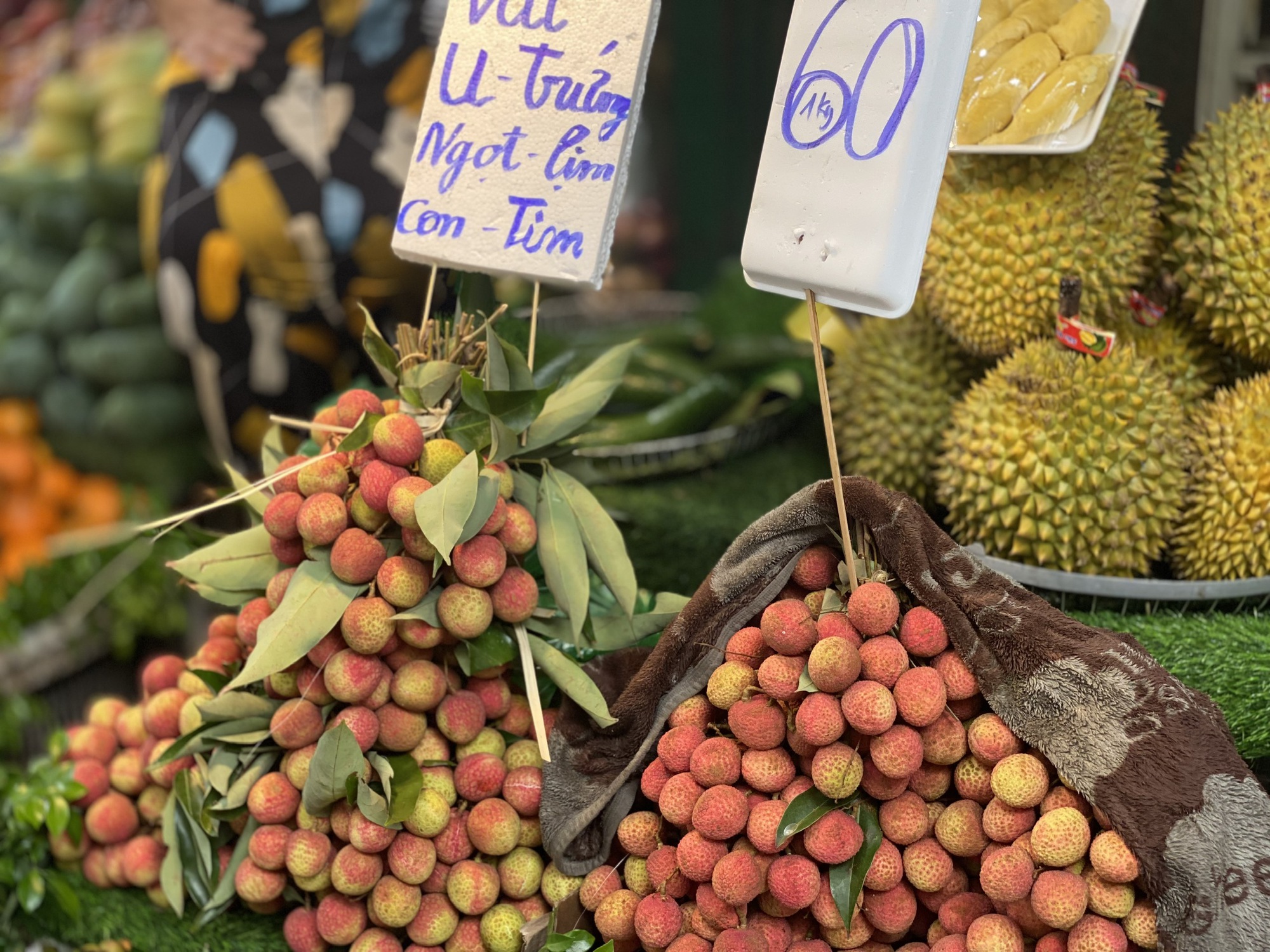 Vải u trứng trắng Hải Dương giá tiền trăm gây ‘sốt’ thị trường trái cây Việt- Ảnh 4. Vải u trứng trắng Hải Dương giá tiền trăm gây ‘sốt’ thị trường trái cây Việt- Ảnh 4.