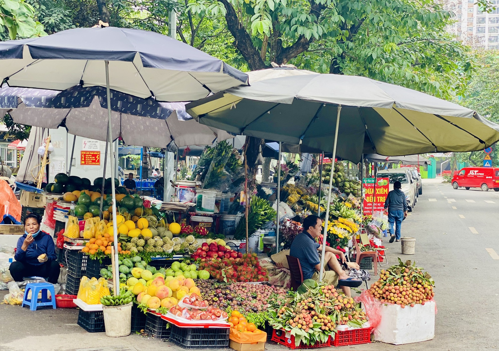 Vải u trứng trắng Hải Dương giá tiền trăm gây ‘sốt’ thị trường trái cây Việt- Ảnh 5. Vải u trứng trắng Hải Dương giá tiền trăm gây ‘sốt’ thị trường trái cây Việt- Ảnh 5.