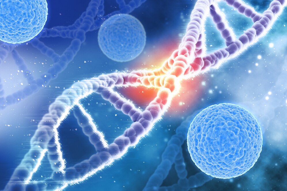 Người mẹ 2 lần mất con vì mang gene bệnh di truyền mà không hay biết- Ảnh 2. Người mẹ 2 lần mất con vì mang gene bệnh di truyền mà không hay biết- Ảnh 2.