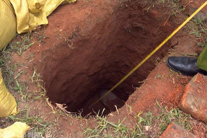 Bộ VHTTDL yêu cầu tăng cường bảo vệ, phát huy giá trị bảo vật quốc gia- Ảnh 2. Bộ VHTTDL yêu cầu tăng cường bảo vệ, phát huy giá trị bảo vật quốc gia- Ảnh 2.