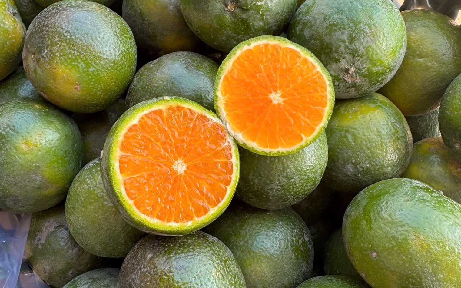 Cam Sen là cam gì, giá siêu rẻ, chỉ vài nghìn đồng/kg?