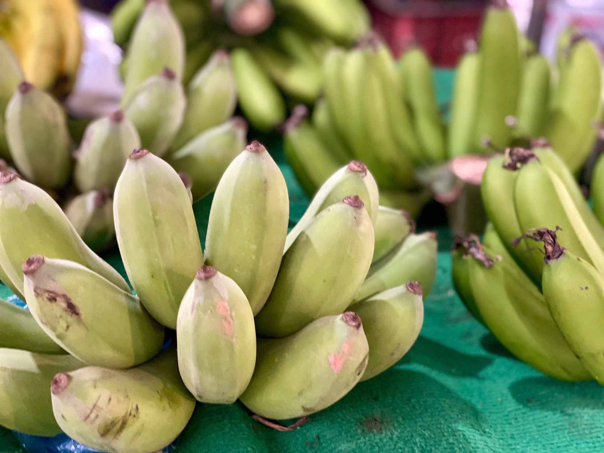 Loại quả được ví như ‘siêu thực phẩm’ bán đầy chợ Việt với giá rẻ- Ảnh 10. Loại quả được ví như ‘siêu thực phẩm’ bán đầy chợ Việt với giá rẻ- Ảnh 10.