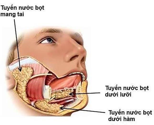 Nước bọt: 'Siêu anh hùng' thầm lặng bảo vệ sức khỏe răng miệng- Ảnh 1. Nước bọt: 'Siêu anh hùng' thầm lặng bảo vệ sức khỏe răng miệng- Ảnh 1.