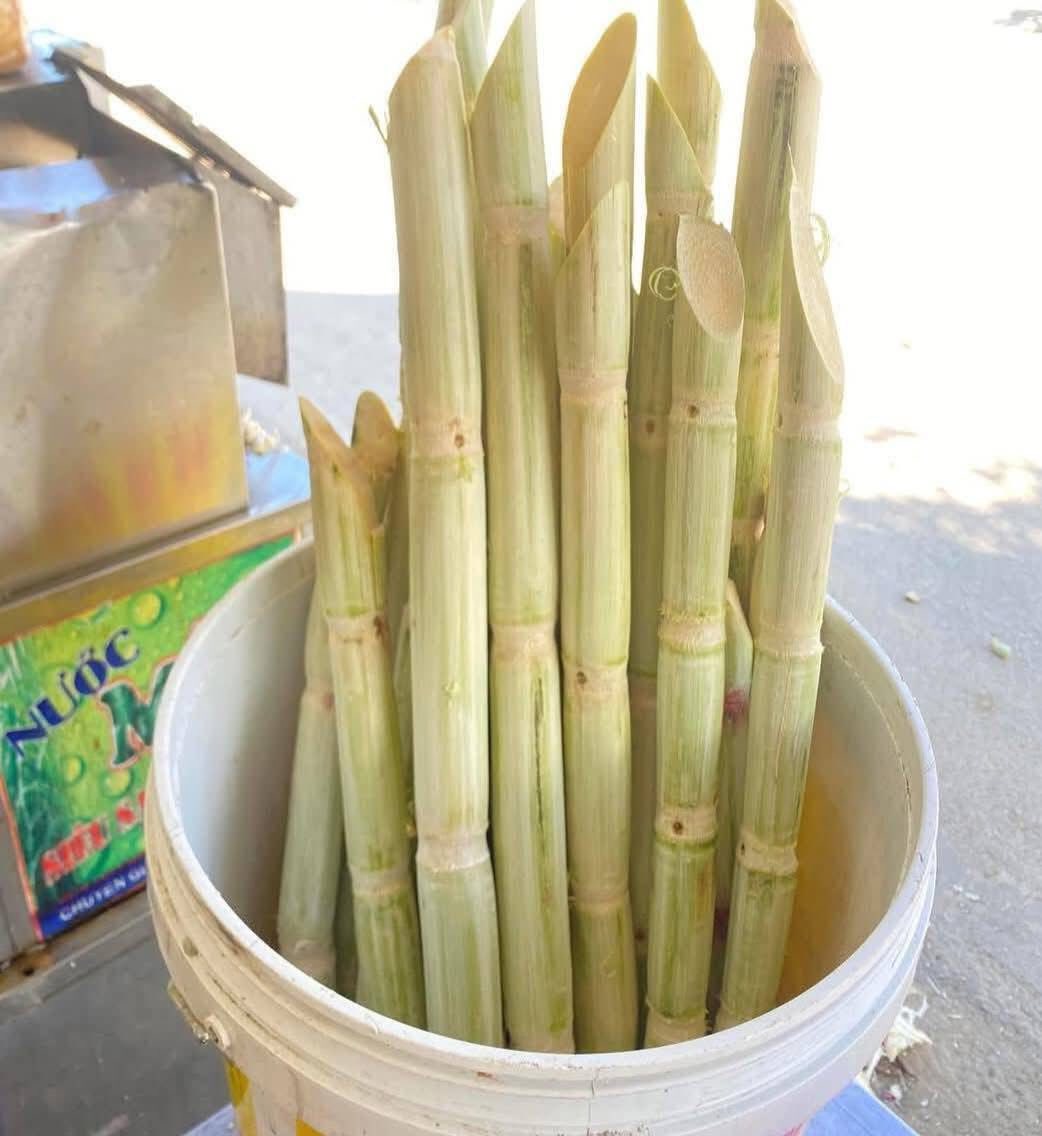 Mùa nắng nóng nước mía giá rẻ bán chạy, tiểu thương chỉ cách nhận biết hàng chuẩn- Ảnh 8. Mùa nắng nóng nước mía giá rẻ bán chạy, tiểu thương chỉ cách nhận biết hàng chuẩn- Ảnh 8.