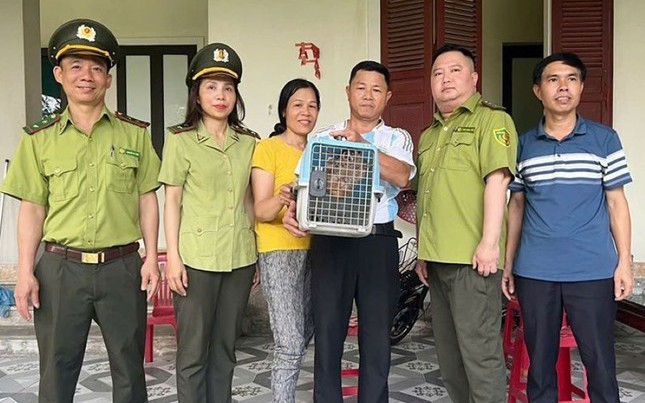 Phát hiện động vật quý hiếm trong vườn nhà 