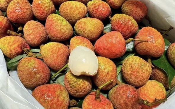 Vải u hồng đầu mùa giá đắt hơn sầu riêng, tiểu thương nhập hàng không đủ để bán