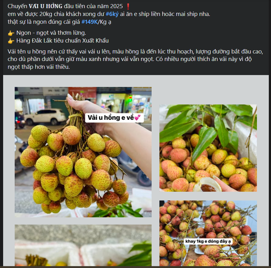 Vải u hồng đầu mùa giá đắt hơn sầu riêng, tiểu thương nhập hàng không đủ để bán- Ảnh 4. Vải u hồng đầu mùa giá đắt hơn sầu riêng, tiểu thương nhập hàng không đủ để bán- Ảnh 4.